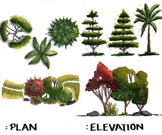 Entourage: Vegetation
